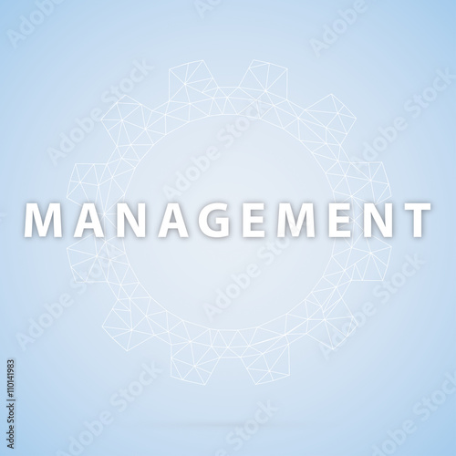 Low Poly Gear Wheel Management