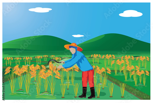 agriculturist harvest rice vector design