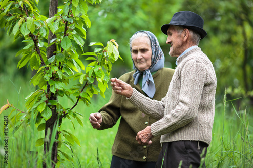 Old farmers couple in the orchard