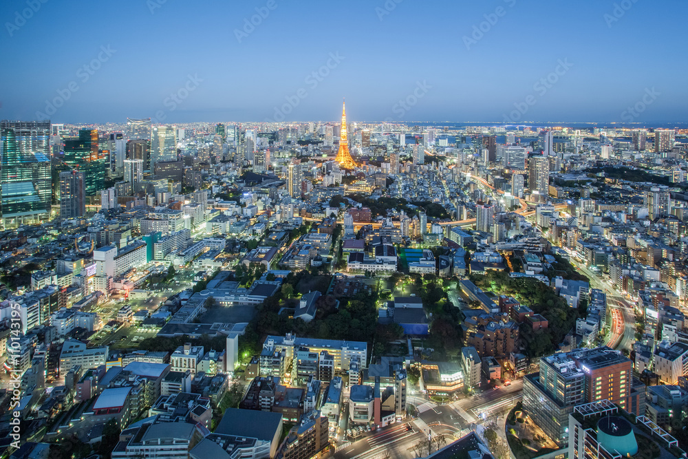 Tokyo city view and Tokyo Tower at twilight