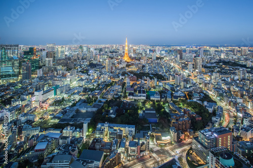 Tokyo city view and Tokyo Tower at twilight