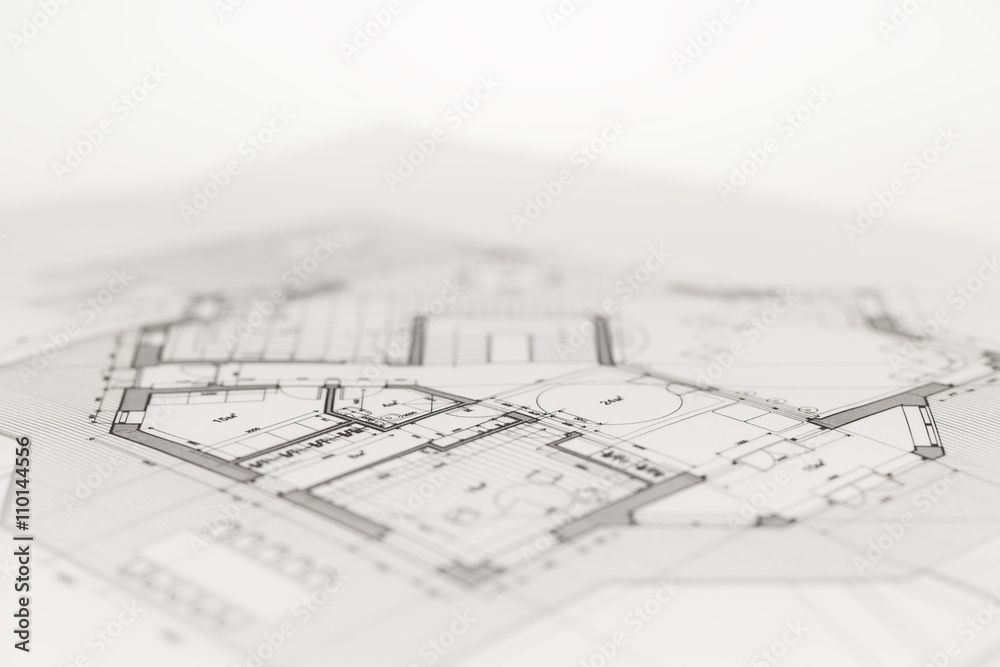 architecture blueprint -  house plan