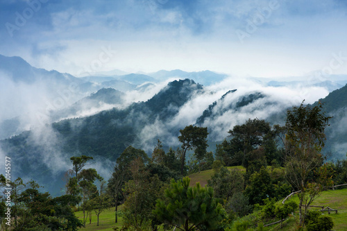 Tropical rain forest and mountain landscape