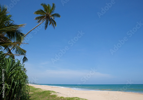 Tropical ocean beach