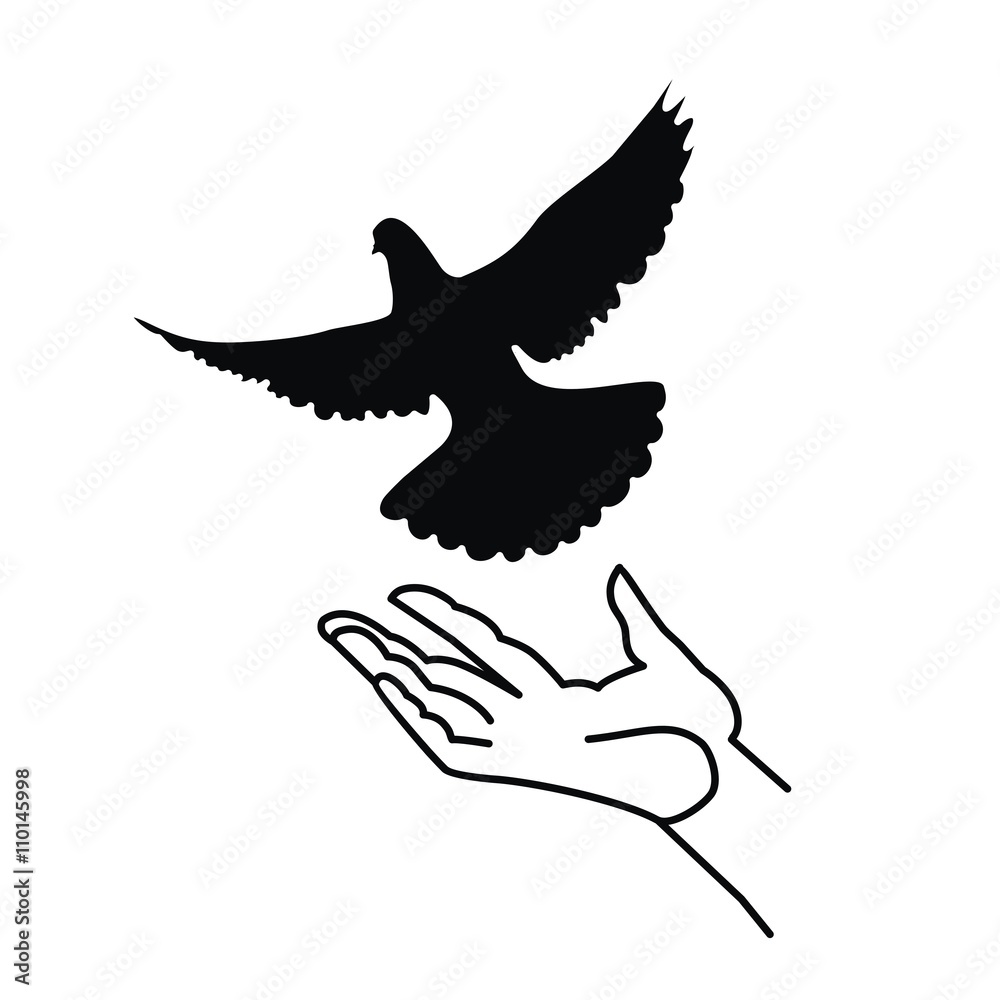 Obraz premium голубь и рука