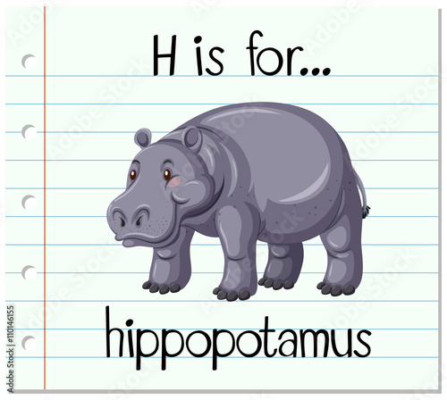 Flashcard letter H is for hippopotamus