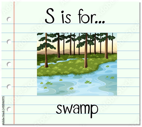 Flashcard letter S is for swamp