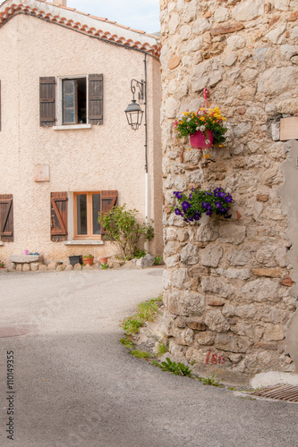 Fototapeta Naklejka Na Ścianę i Meble -  village fleur des Hautes Alpes - France