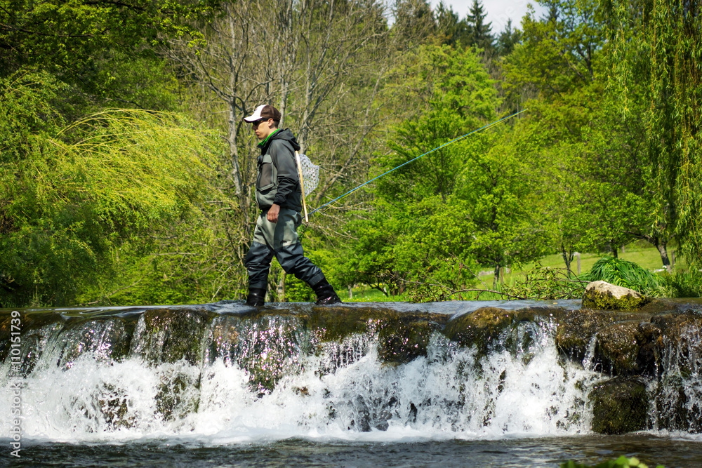 Obraz premium Fly fisherman fishing trouts in river