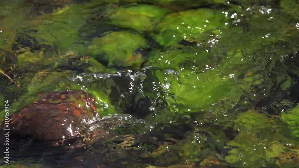 Agua corriente en arroyo o río, fluyendo entre piedras teñidas de verde por algas