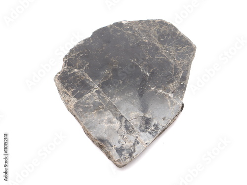 muscovite black on a white background photo