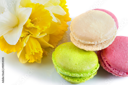 French colorful macarons on a white background. Bouquet of daffodils