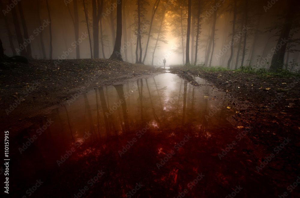 Fototapeta premium spooky man reflecting in water in surreal dark forest