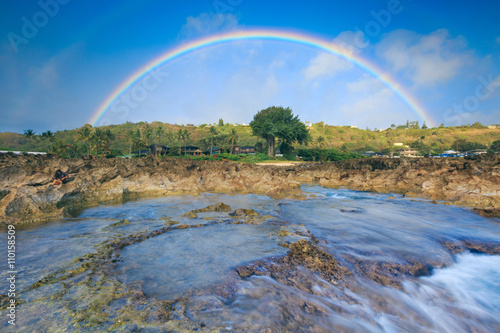Rainbow over the volcanic shores and a tree of North shore, Oahu Island, Hawaii. 