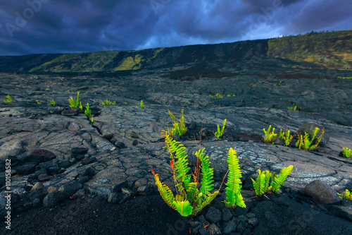 Sunset over lava field in Volcano national park in Big Island Hawaii