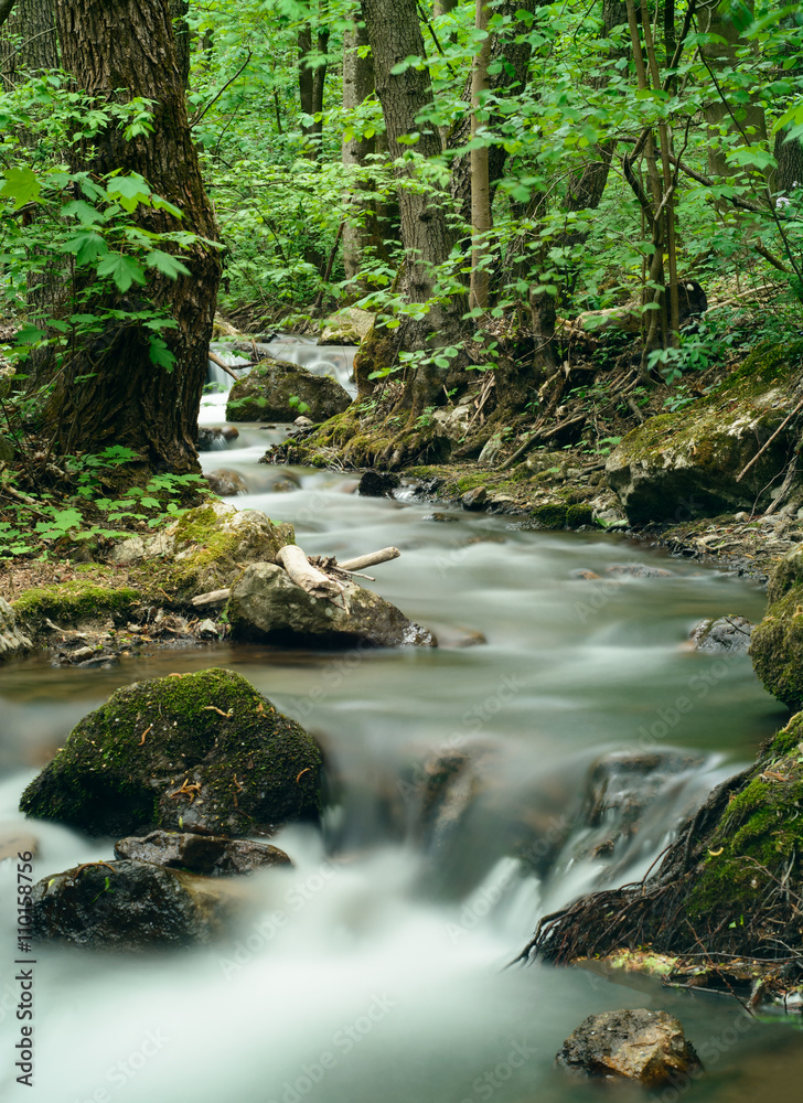 Zadiel valley - stream in forest Zadiel valley - stream in forest