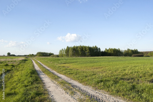 Dirt road through meadows