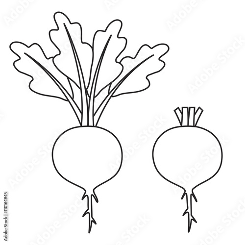 Line icon beet with leaves and beet without leaves. Vector illustration.
