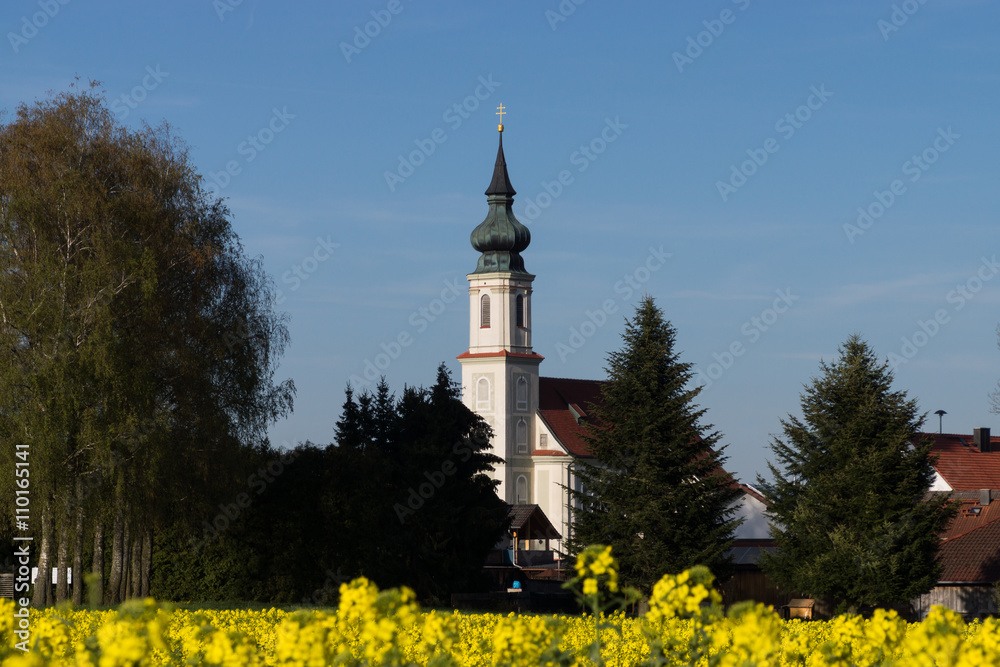 Obraz premium Dorfkirche hinter Rapsfeld
