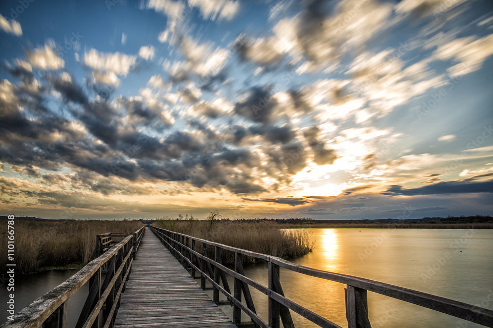 Naklejka premium Federsee