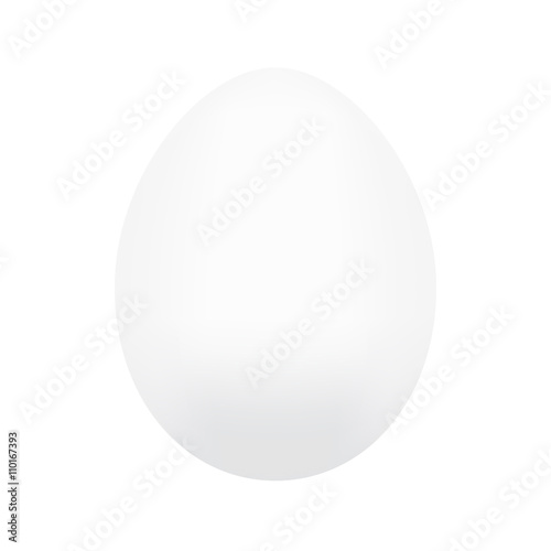 Vector white chicken egg isolated on white background