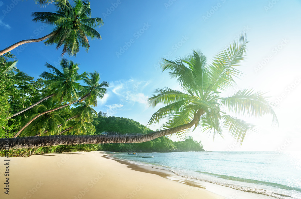 Fototapeta premium sunset on the beach, Mahe island, Seychelles
