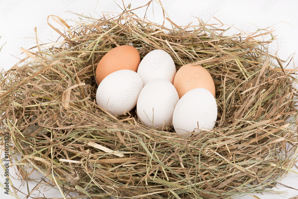 White and brown eggs in nest White and brown eggs in nest