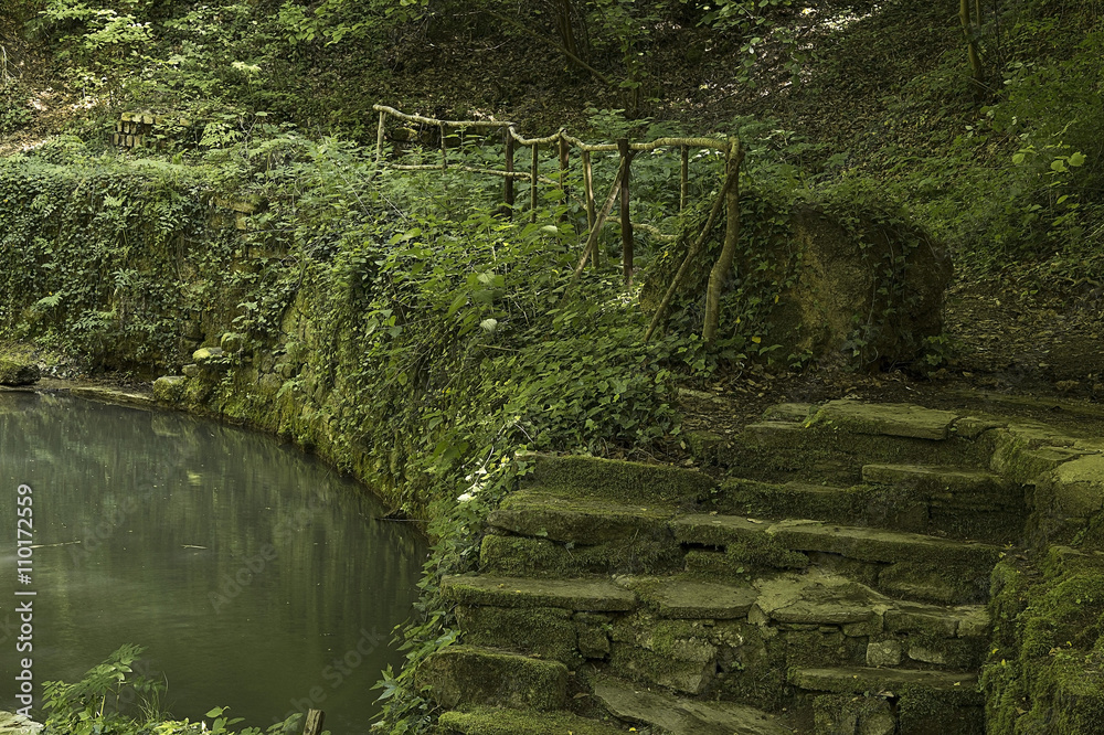 Forest pond and old ruined stair steps Forest pond and old ruined stair steps