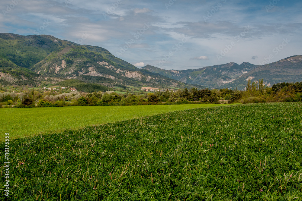 Fototapeta premium diverses cultures