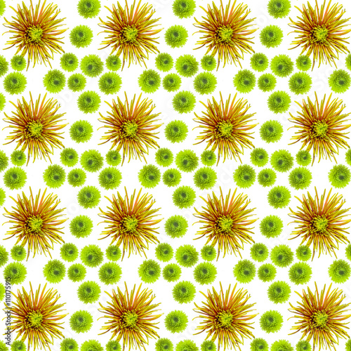 original rare green chrysanthemum repeating seamless pattern