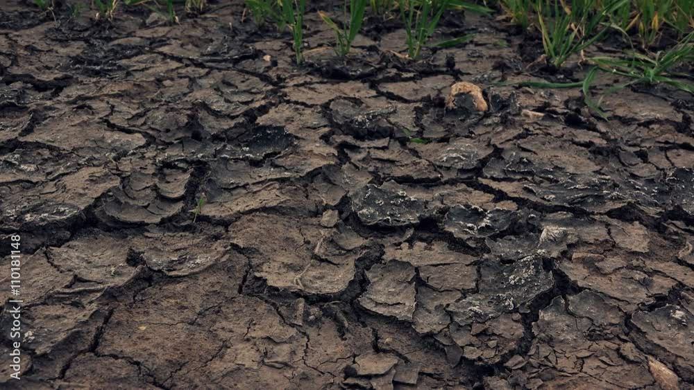 Dolly slider footage of soil drought, dry land and mud cracks, arid climate and weather without rain