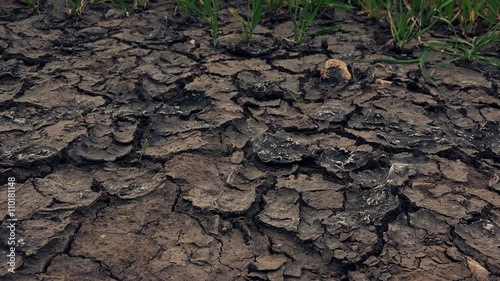 Dolly slider footage of soil drought, dry land and mud cracks, arid climate and weather without rain
