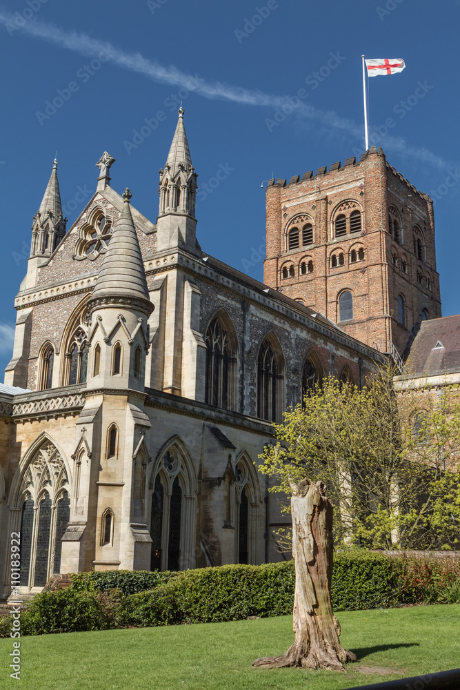 Obraz premium St Albans Cathedral viewed from the Vintry Garden