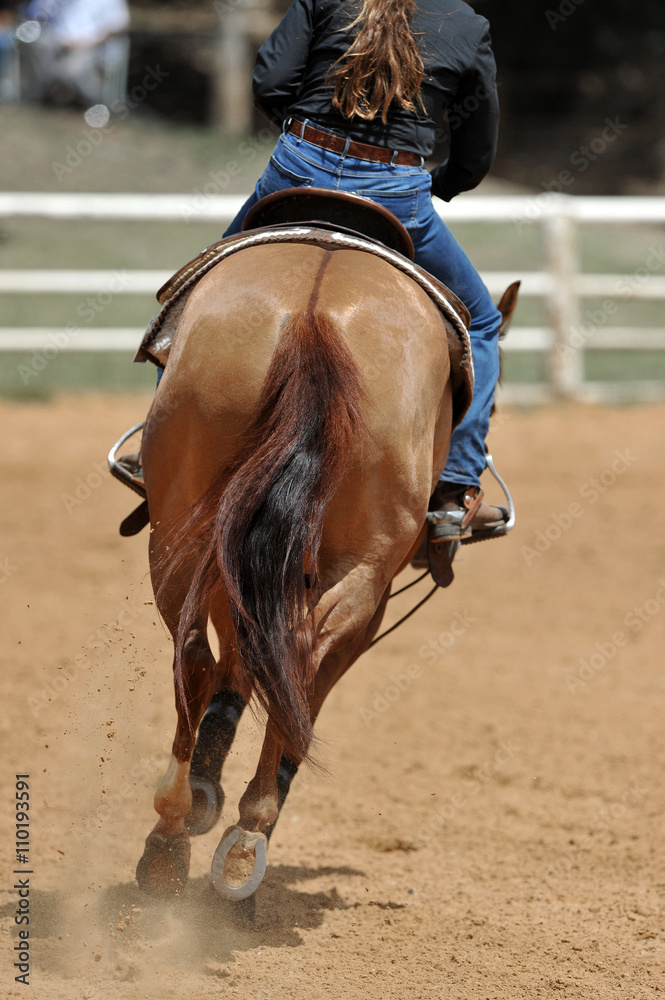 The rear view of a rider on a horseback The rear view of a rider on a horseback