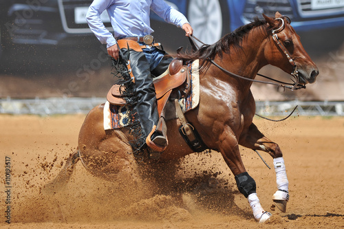 A close up view of a rider sliding the horse in the dirt © PROMA