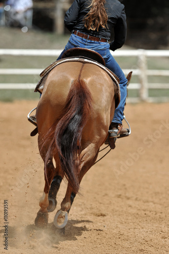 The rear view of a rider on a horseback
