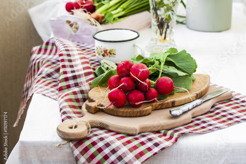 bundle of  bright fresh organic radishes with leaves