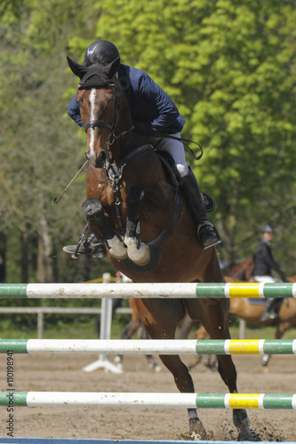 Horse jump a hurdle in a competition