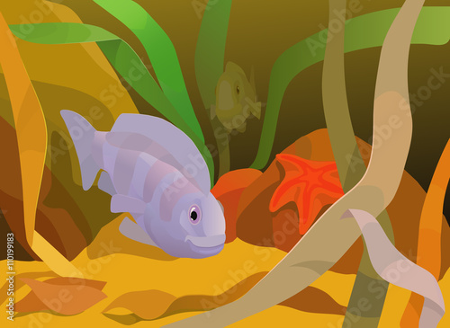 aquatic view with underwater animals and plants near bottom with sand and rocks on it, green, yellow 
and brown algae, starfish and exotic fishes