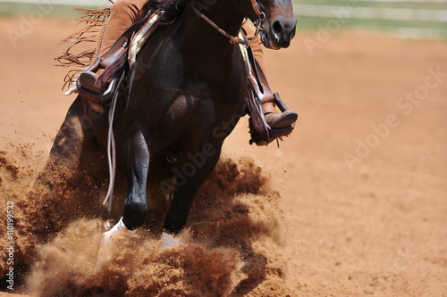 The front view of a horse sliding in the dust