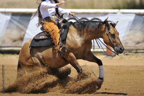 The side view of a rider in cowboy chaps and boots on a horseback running ahead in the dust. © PROMA