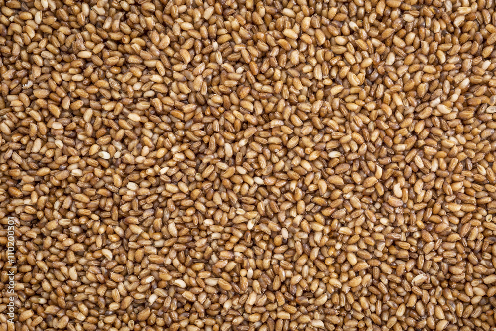 teff grain background teff grain background