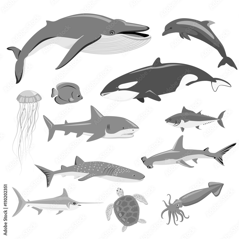 Marine Fauna Set of Aquatic Animals Marine Fauna Set of Aquatic Animals