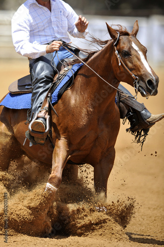 The front view of a rider in cowboy chaps and boots on a horseback running ahead in the dust. © PROMA