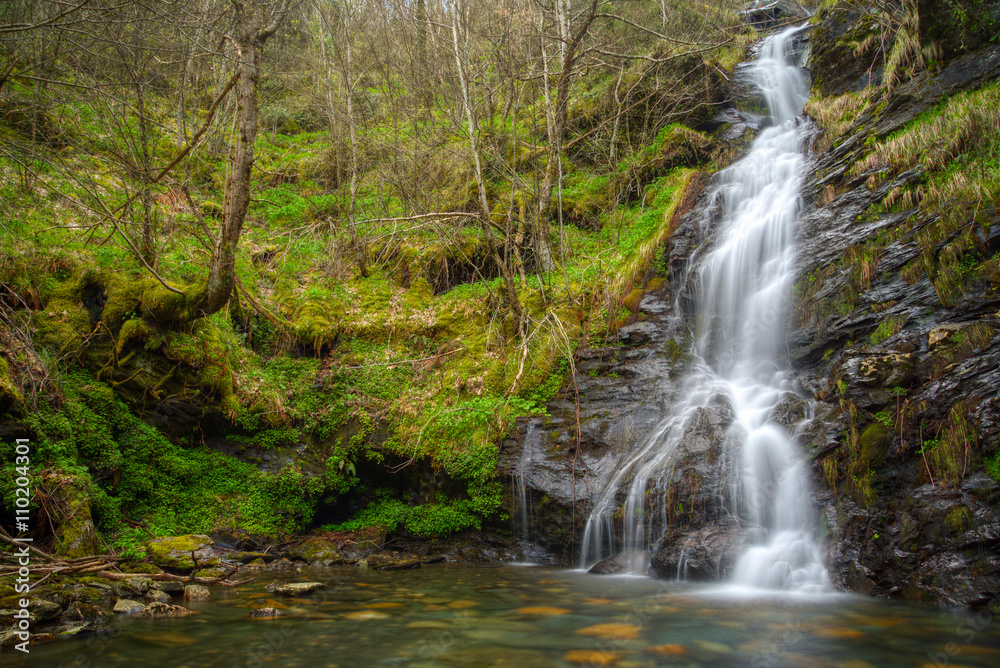 Waterfall in a cliff by the forest