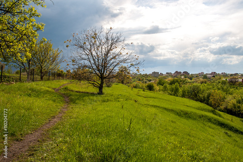 Spring landscape with footpath before the rain