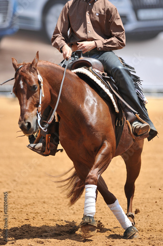 Fototapeta Naklejka Na Ścianę i Meble -  The front view of a rider in the chaps on a horseback during the NRHA competition.