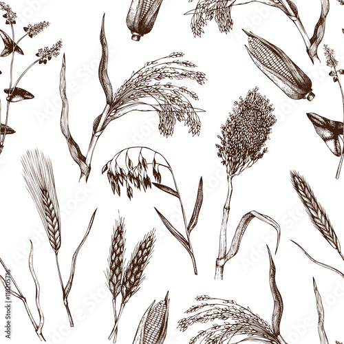 Vector seamless pattern with hand drawn cereal crops sketches. Vintage background with industrial crops illustration. Farm fresh and locally grown organic products illustration.