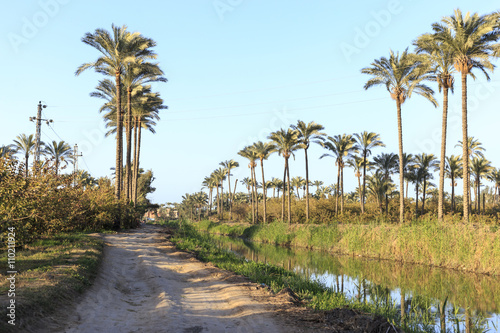 Beautiful nature country - Egypt.