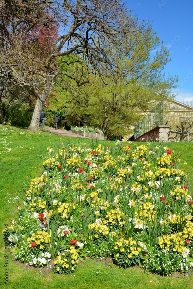 Obraz premium Parterre de fleurs dans un square à Paris